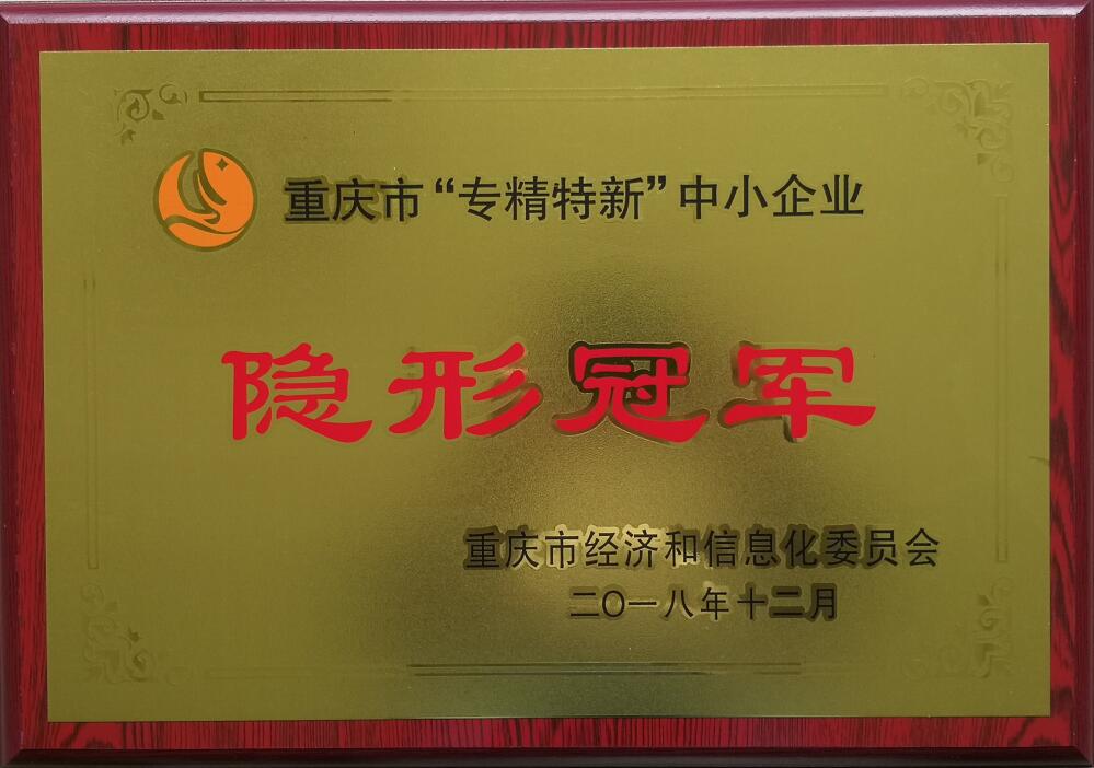 隱形冠軍.jpg