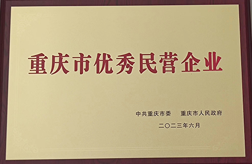 2023年6月重慶市優秀民營企業.jpg