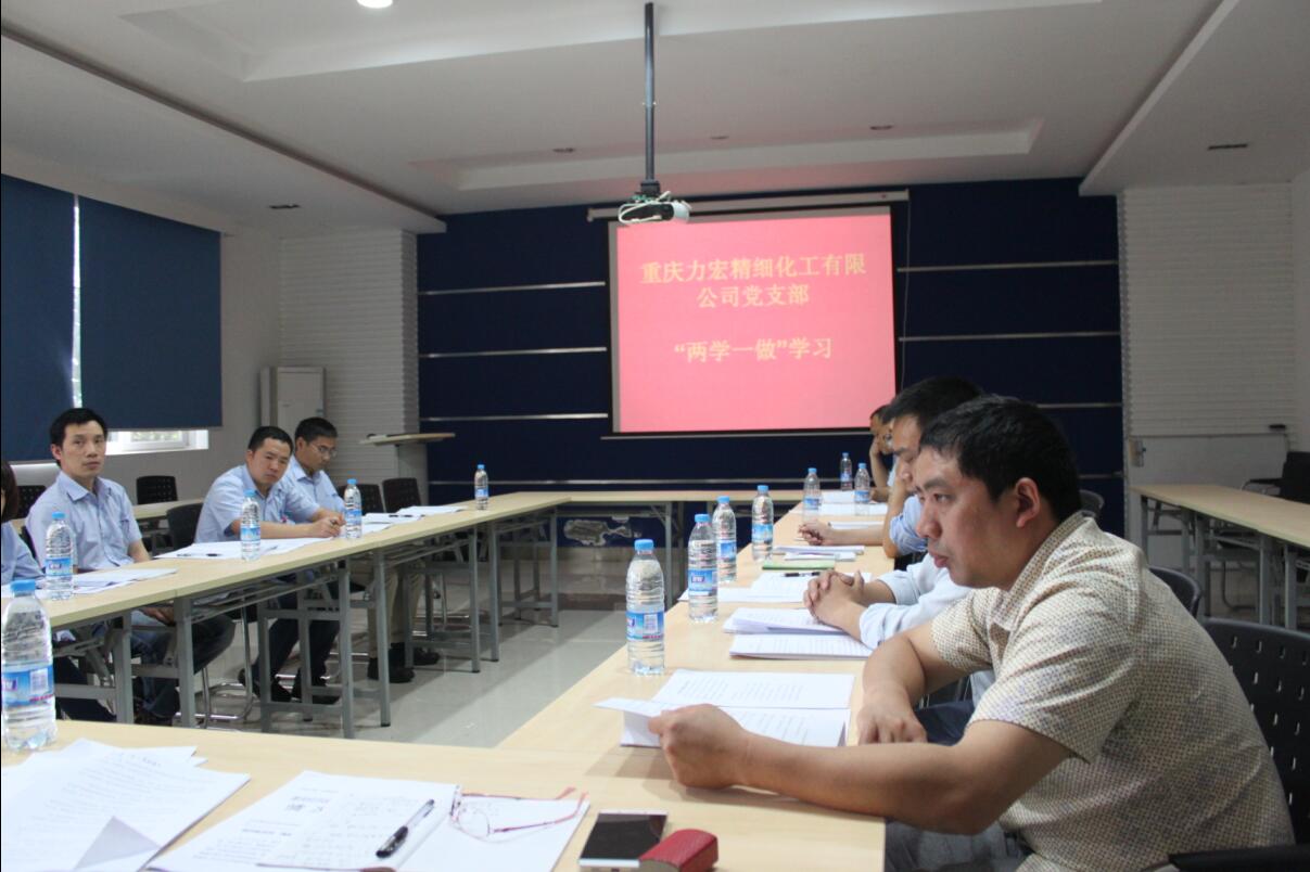 2016-5-19黨支部學習.jpg